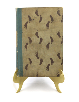 The Life and Strange Surprising Adventures of Robinson Crusoe