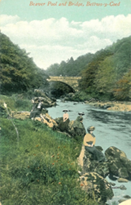 Beaver Pool and Bridge, Bettws-y-Coed