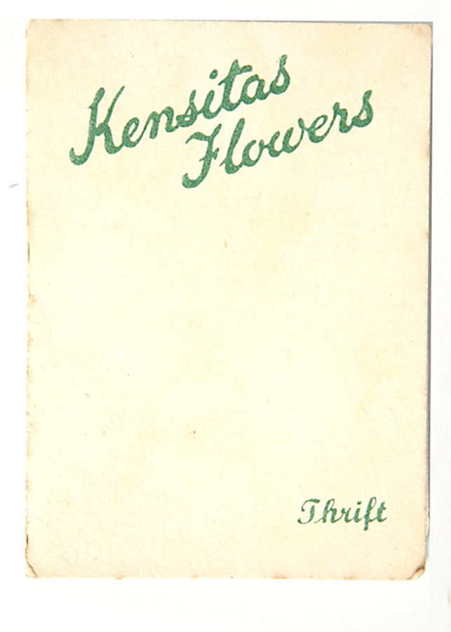 Kensitas Flowers: Thrift