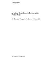 American Households in Demographic Perspective